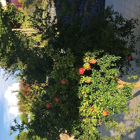 Casa Aurora * Laureana Cilento
